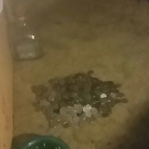 Every state quarters